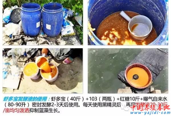 中國養殖基地 yzjidi.com