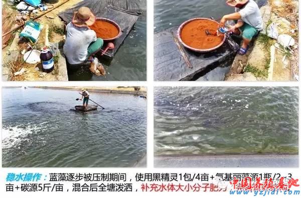 中國養殖基地 yzjidi.com