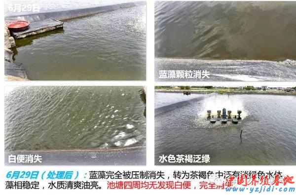 中國養殖基地 yzjidi.com