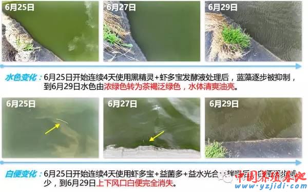 中國養殖基地 yzjidi.com
