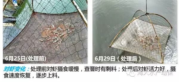 中國養殖基地 yzjidi.com
