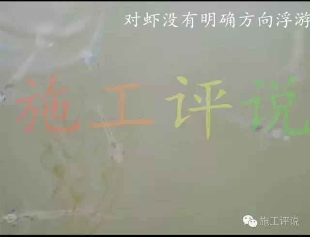 中國養殖基地 yzjidi.com