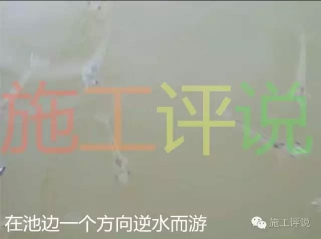 中國養殖基地 yzjidi.com
