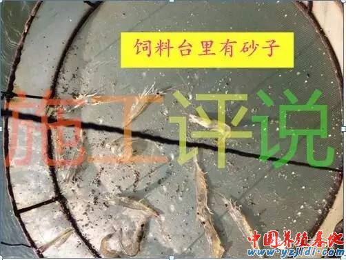 中國養殖基地 yzjidi.com
