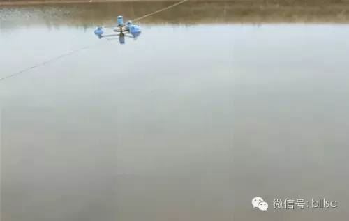 中國養殖基地 yzjidi.com