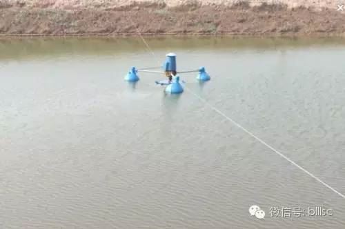 中國養殖基地 yzjidi.com