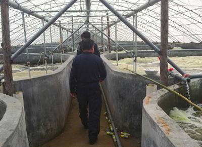 中國養殖基地 yzjidi.com