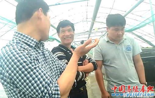 中國養殖基地 yzjidi.com