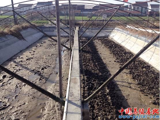 中國養殖基地 yzjidi.com