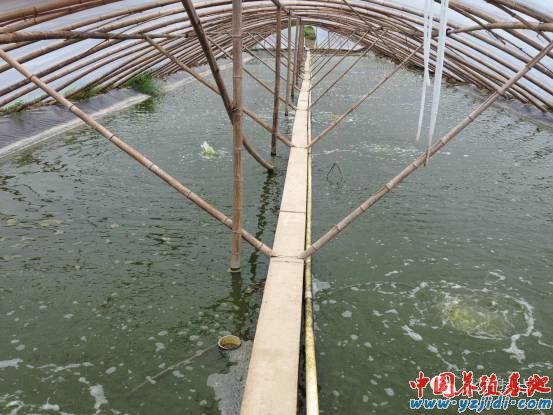 中國養殖基地 yzjidi.com