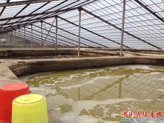 中國養殖基地 yzjidi.com