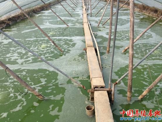 中國養殖基地 yzjidi.com
