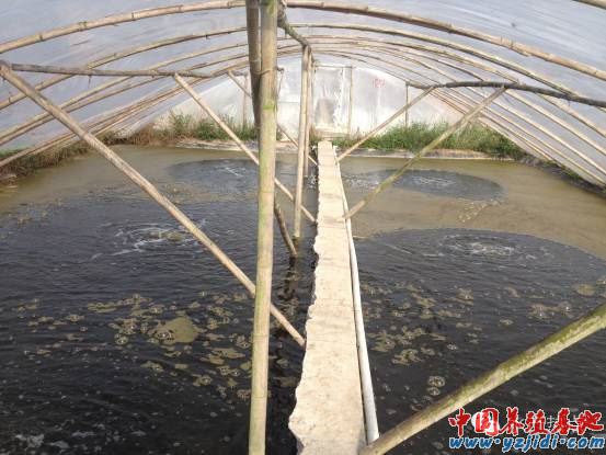 中國養殖基地 yzjidi.com