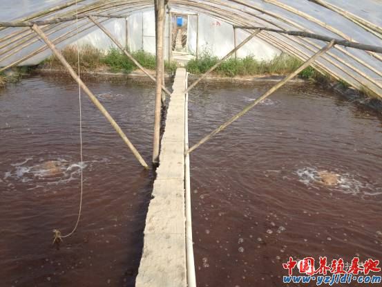 中國養殖基地 yzjidi.com