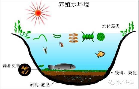 中國養殖基地 yzjidi.com