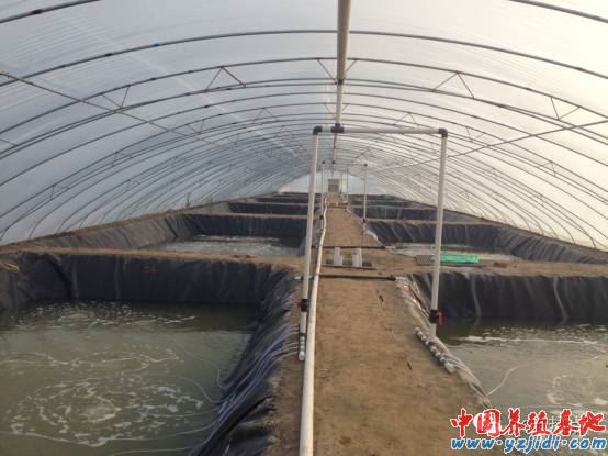 中國養殖基地 yzjidi.com