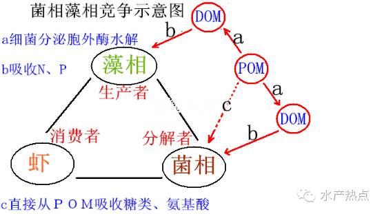 中國養殖基地 yzjidi.com