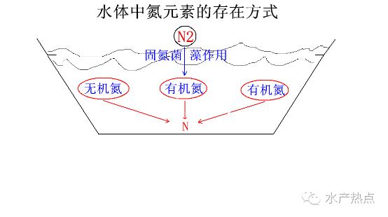 中國養殖基地 yzjidi.com