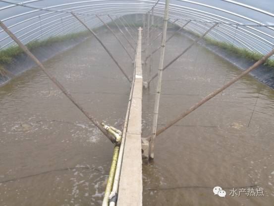中國養殖基地 yzjidi.com