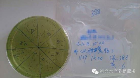 中國養殖基地 yzjidi.com