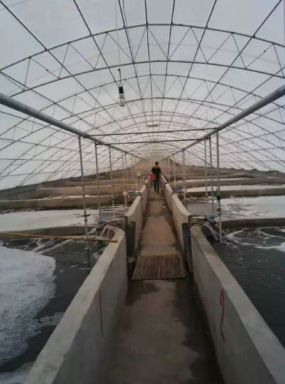 中國養殖基地 yzjidi.com