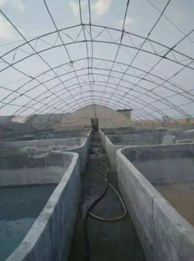 中國養殖基地 yzjidi.com