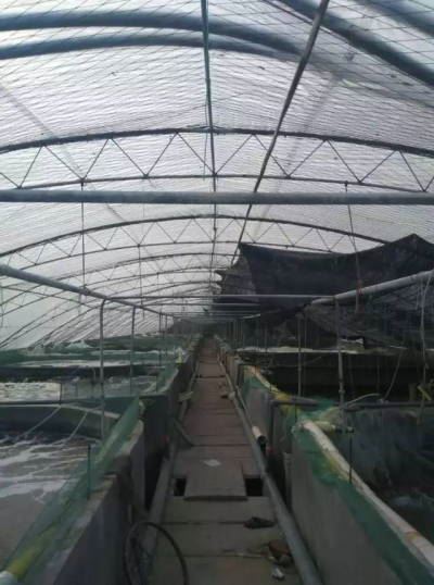 中國養殖基地 yzjidi.com