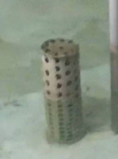 中國養殖基地 yzjidi.com