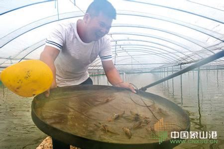 中國養殖基地 yzjidi.com