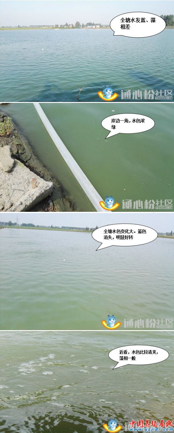 中國養殖基地 yzjidi.com