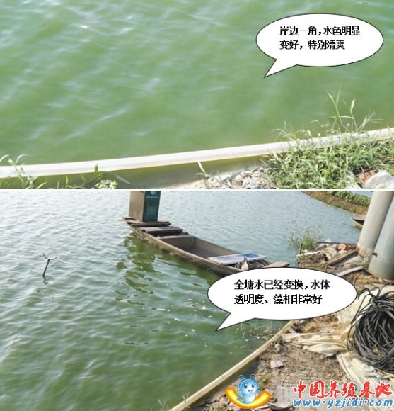 中國養殖基地 yzjidi.com