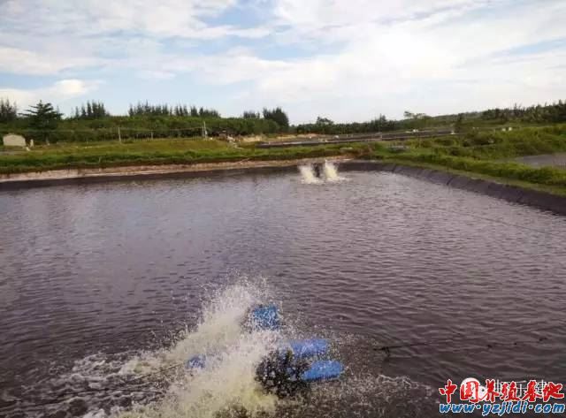 中國養殖基地 yzjidi.com