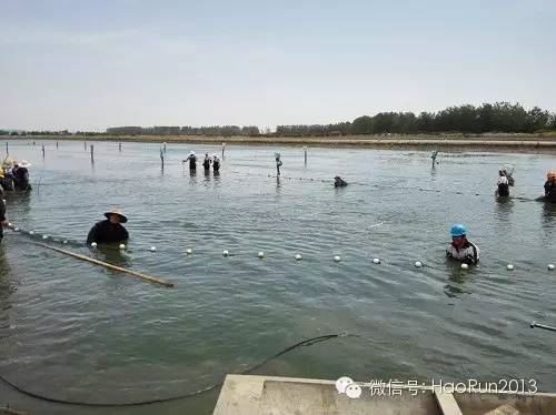中國養殖基地 yzjidi.com