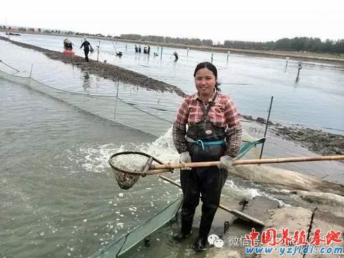 中國養殖基地 yzjidi.com