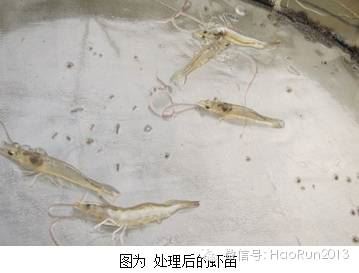 中國養殖基地 yzjidi.com