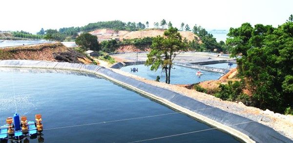 中國養殖基地 yzjidi.com