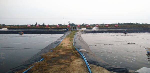 中國養殖基地 yzjidi.com