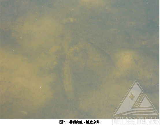 中國養殖基地 yzjidi.com