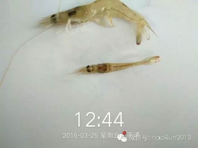 中國養殖基地 yzjidi.com