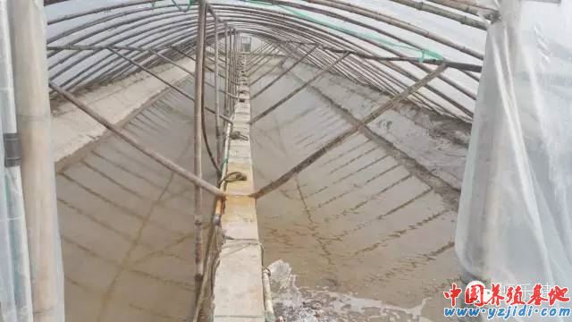 中國養殖基地 yzjidi.com