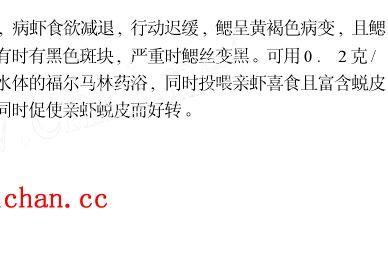 中國養殖基地 yzjidi.com