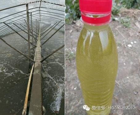 中國養殖基地 yzjidi.com