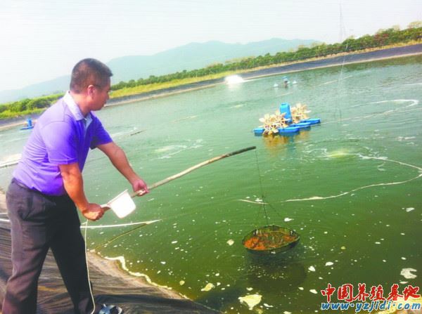 中國養殖基地 yzjidi.com