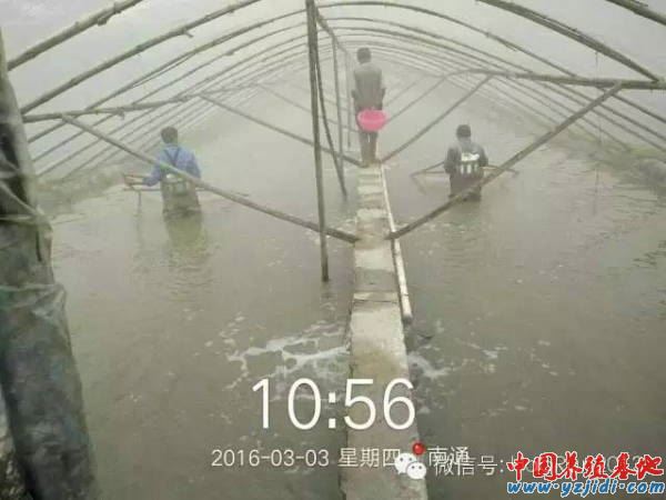 中國養殖基地 yzjidi.com