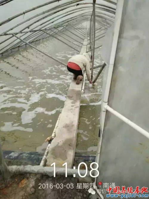 中國養殖基地 yzjidi.com