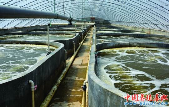 中國養殖基地 yzjidi.com