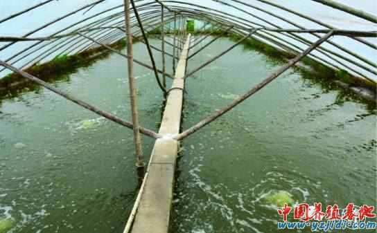 中國養殖基地 yzjidi.com