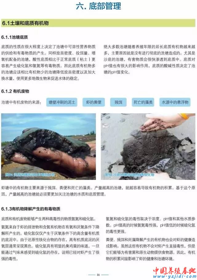 中國養殖基地 yzjidi.com