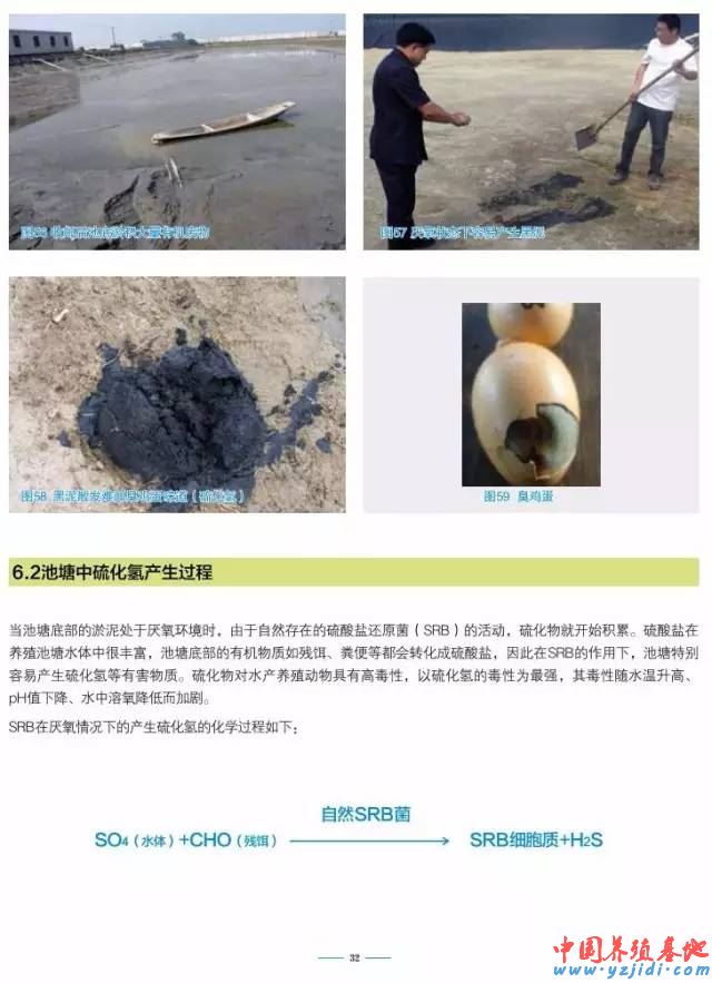 中國養殖基地 yzjidi.com
