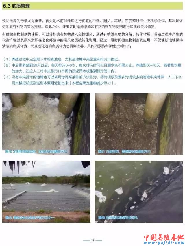 中國養殖基地 yzjidi.com